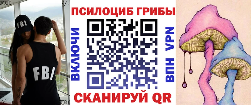 Галлюциногенные грибы MAGIC MUSHROOMS  где можно купить наркотик  Дыгулыбгей 